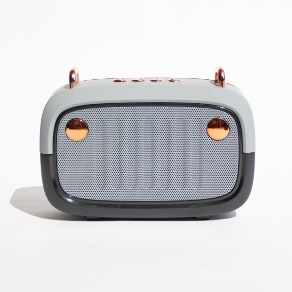 PARLANTE PORTATIL BLUETOOTH CON RADIO BS 32D FAVEO GRIS